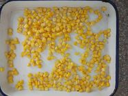 i noccioli di cereale inscatolati GMO non 425g classificano A, mais dentro possono
