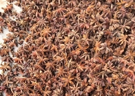 Il nuovo raccolto Autumn Star Anise Seeds Natural